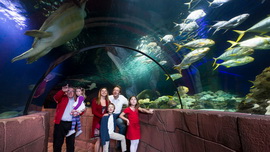 Аквариум Sea Life