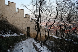 Голодная стена