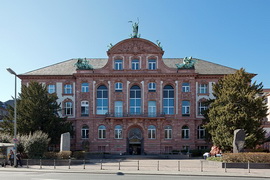 Зенкенбергский музей