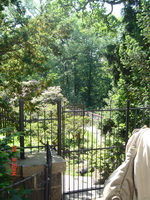 Карлштейн, Конопиште, Карловы Вары, Прага