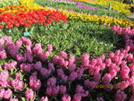 Парк цветов Кёкенхоф - Сад Европы