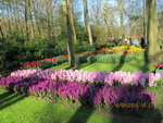 Парк цветов Кёкенхоф - Сад Европы