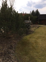 Замок Червены Уезд